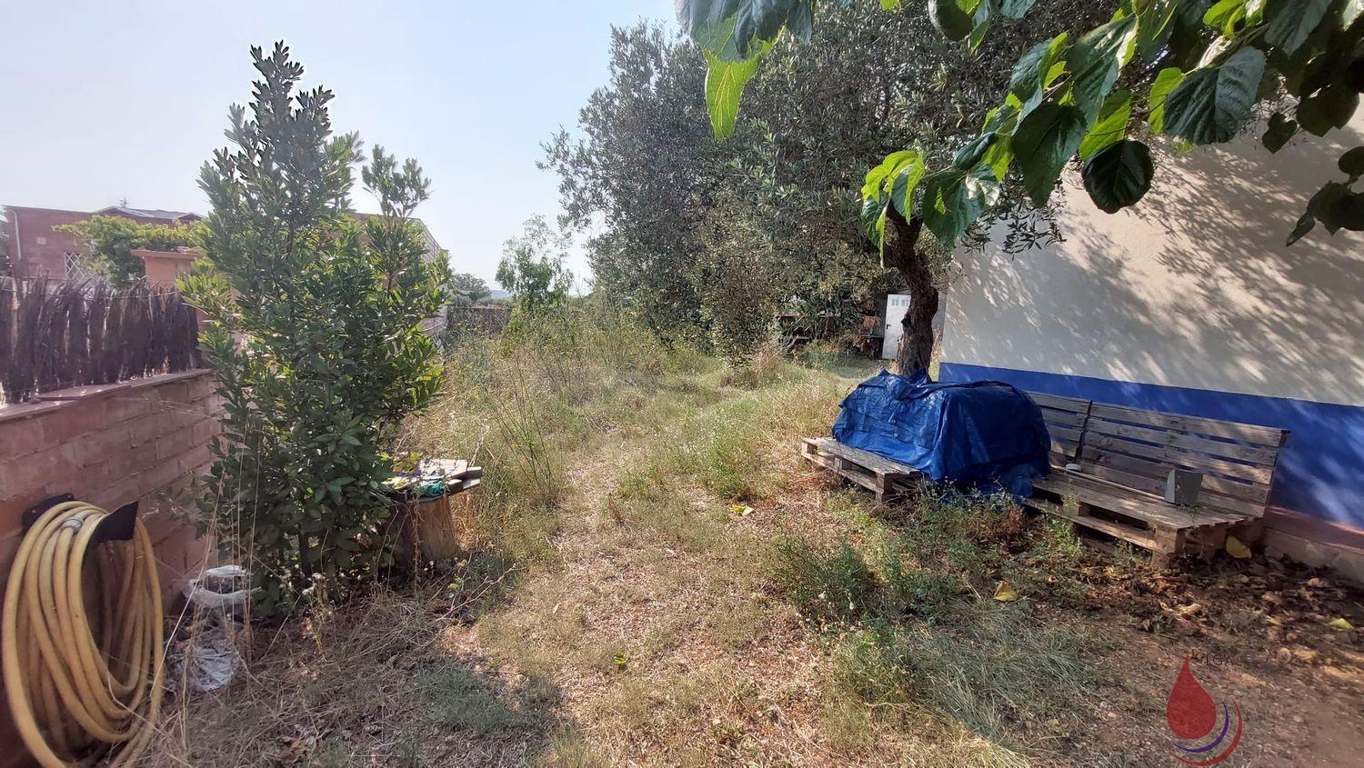 Venta de finca rústica en Santa Oliva