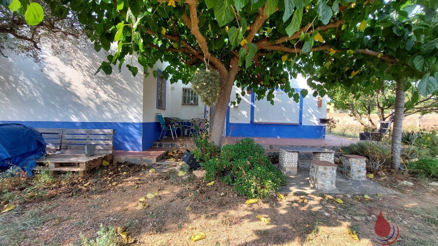 Venta de finca rústica en Santa Oliva