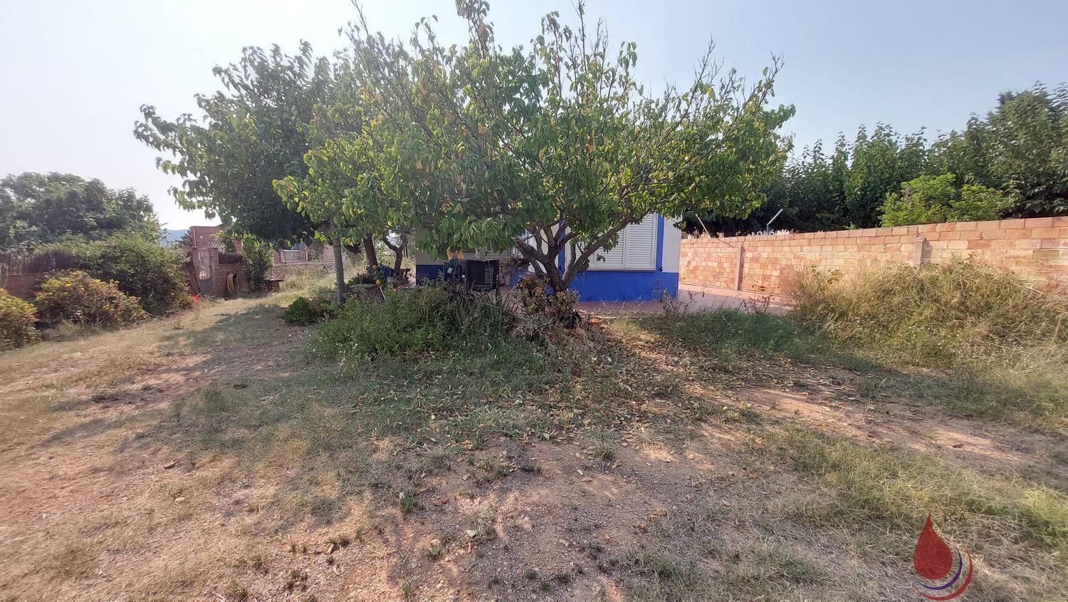 Venta de finca rústica en Santa Oliva