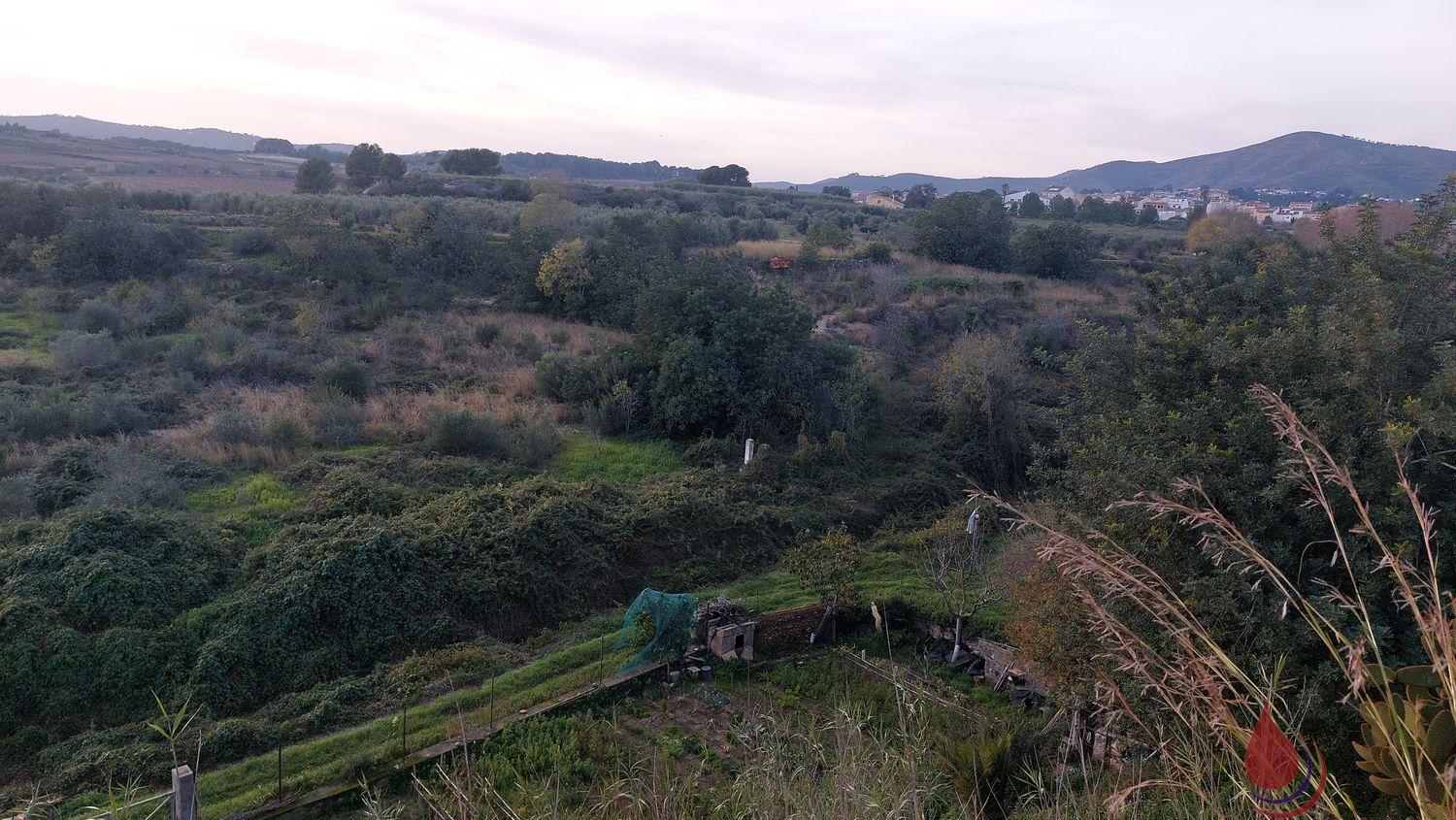 Venta de terreno en Bonastre Venta de terreno en Bonastre