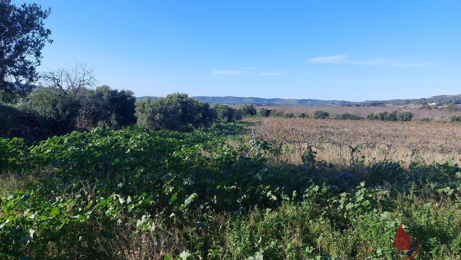 Venta de terreno en Bonastre