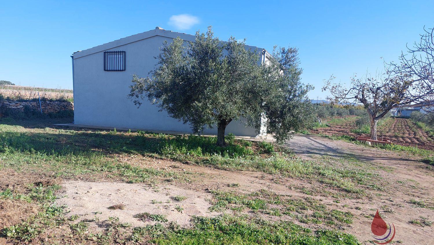 Venta de terreno en Bellvei Venta de terreno en Bellvei