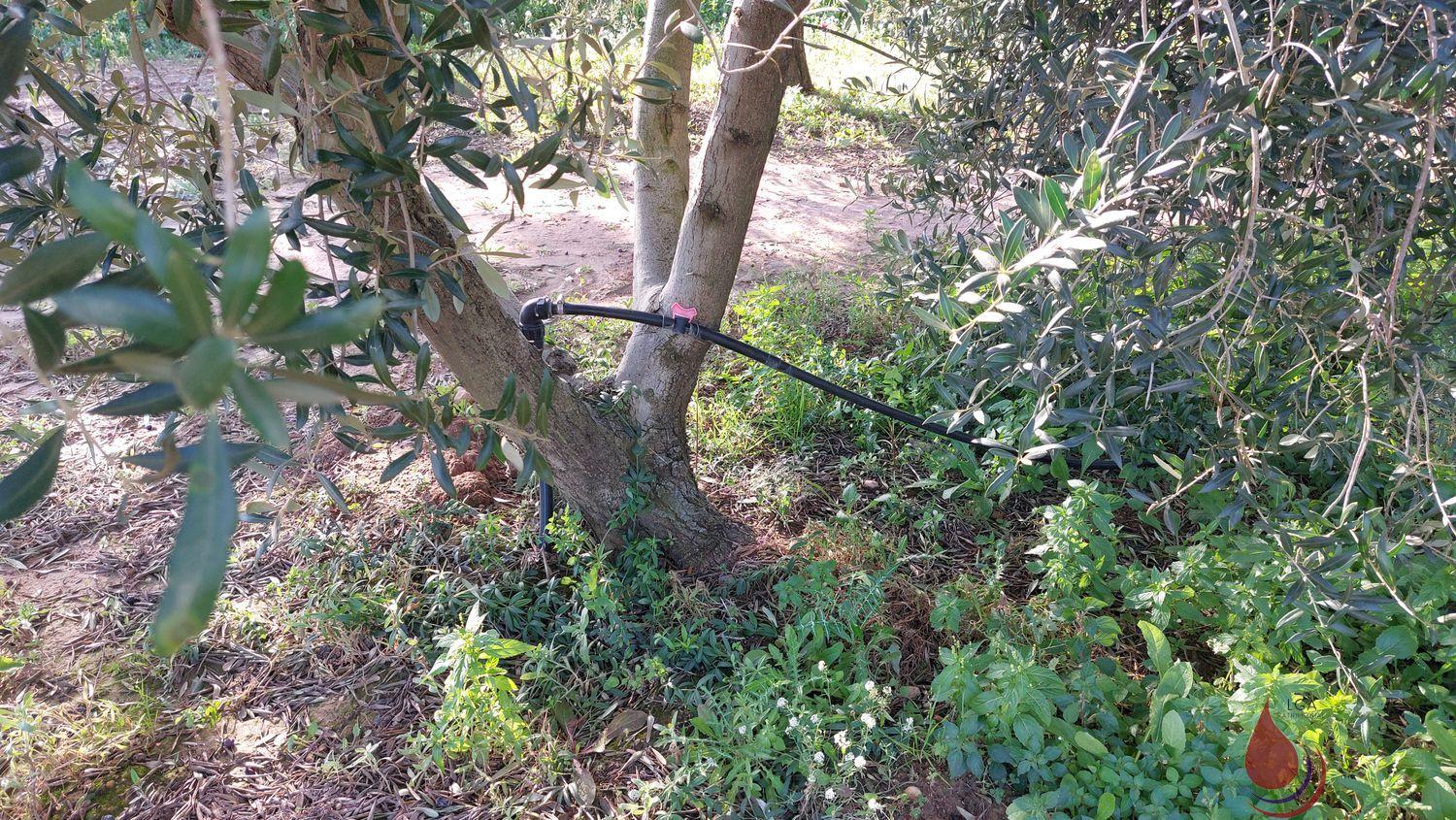 Venta de terreno en Bellvei