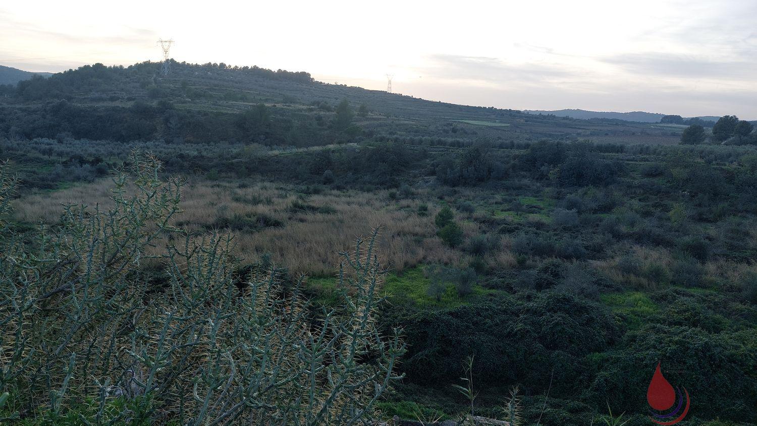 Venta de terreno en Bonastre Venta de terreno en Bonastre