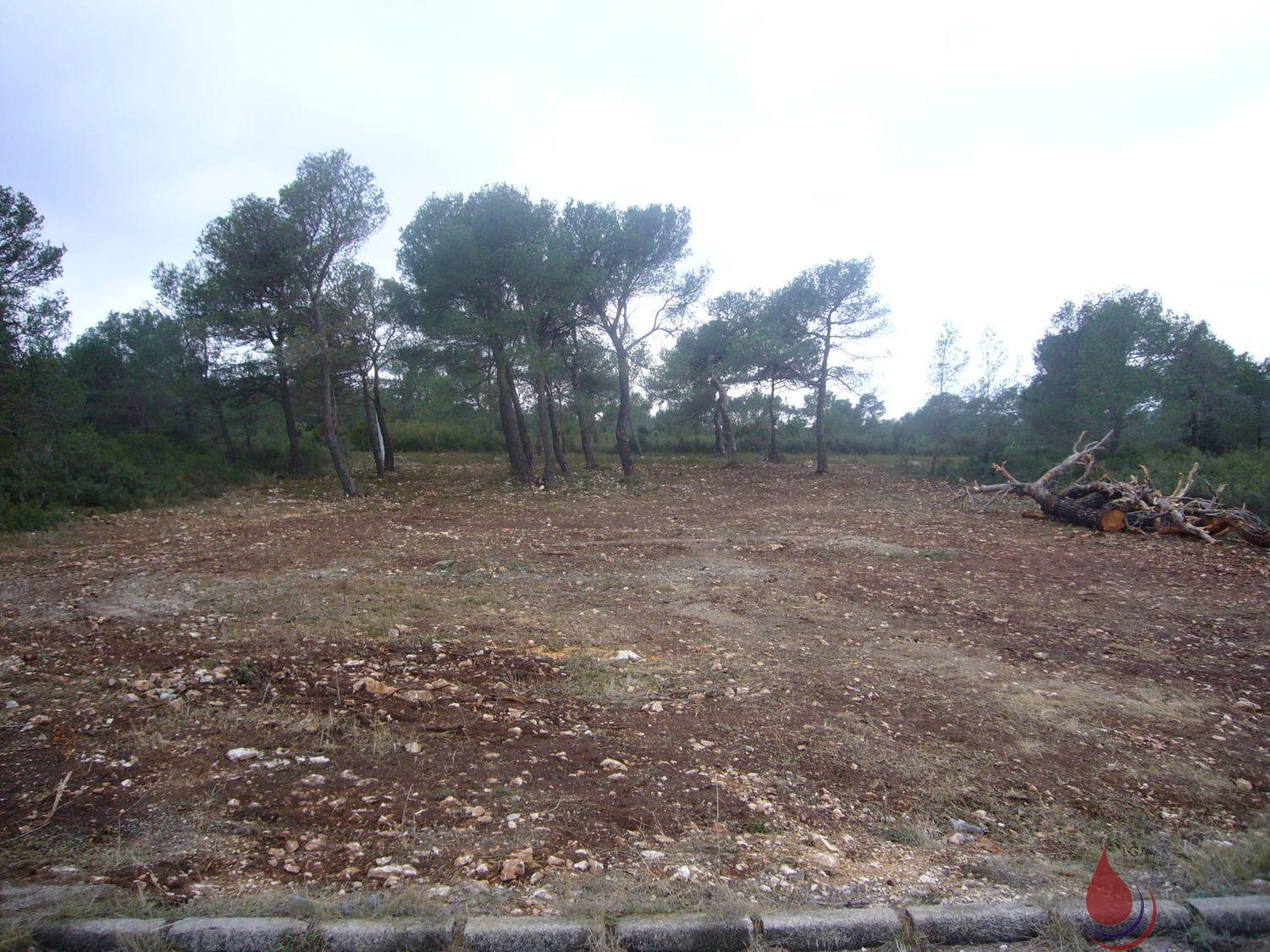 Venta de terreno en Tarragona Venta de terreno en Tarragona