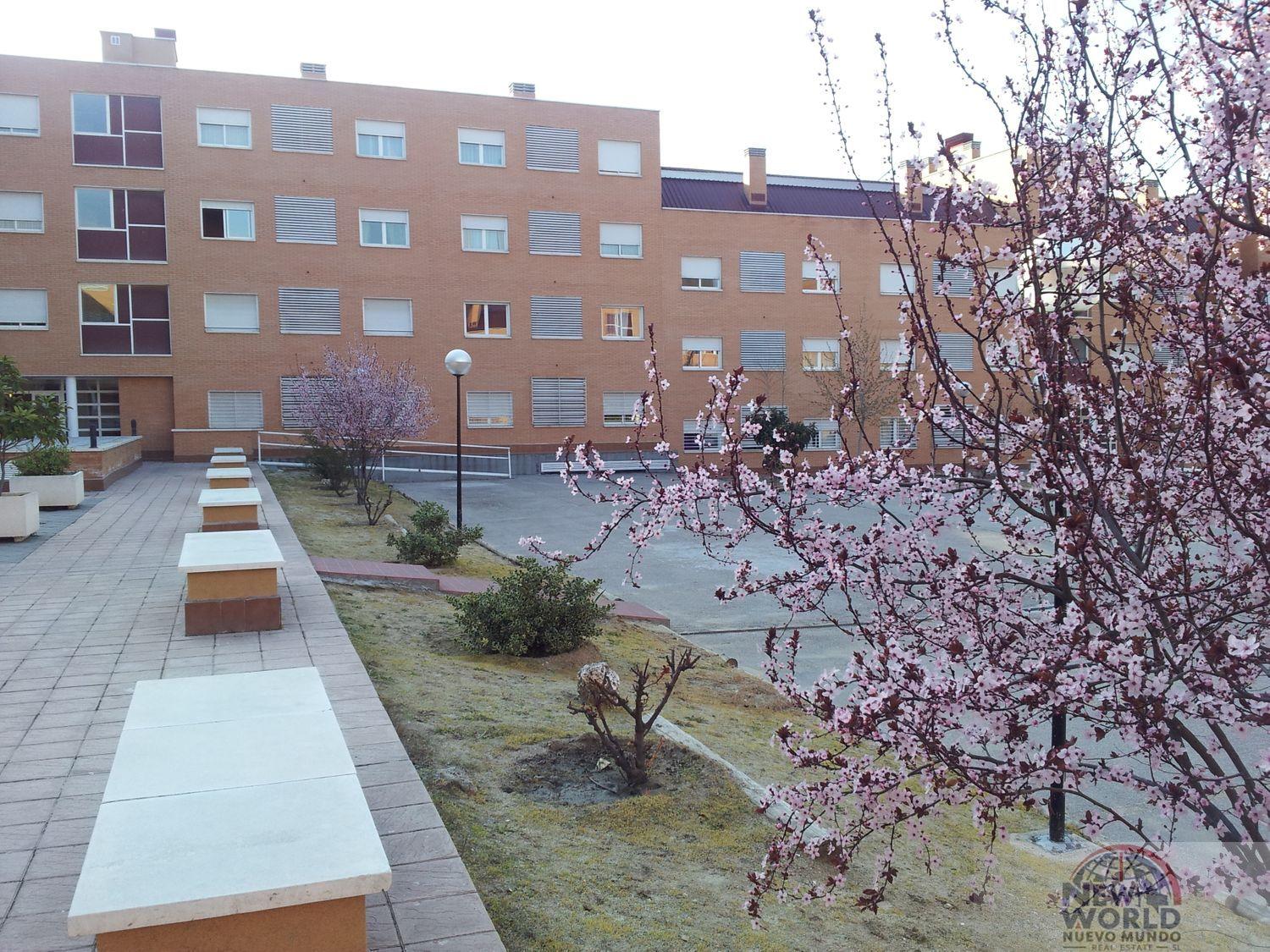 Alquiler de Ático en Madrid