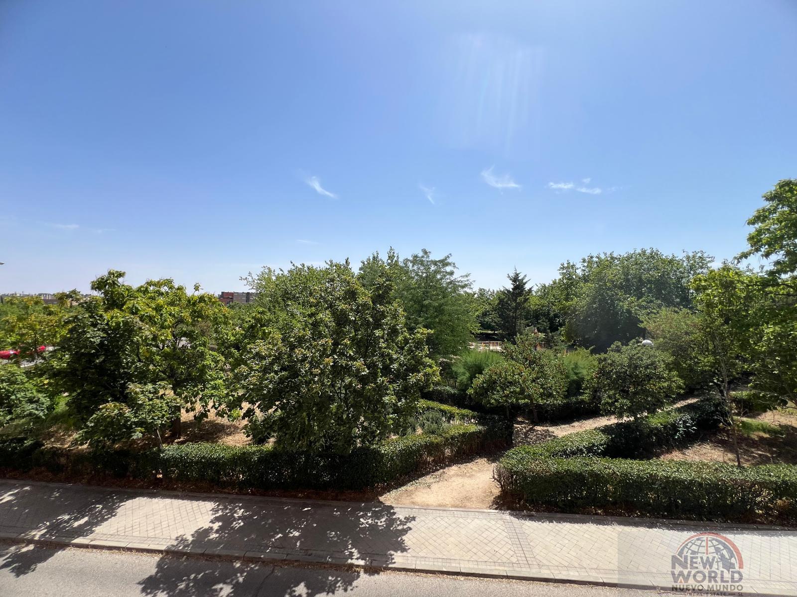Alquiler de piso en Madrid