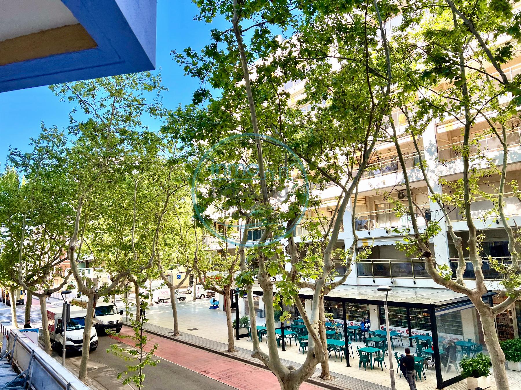 For rent of study in Salou