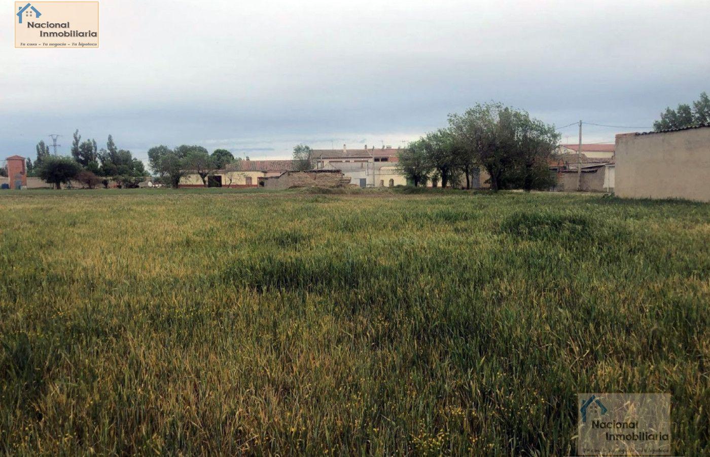 For sale of land in Orbita