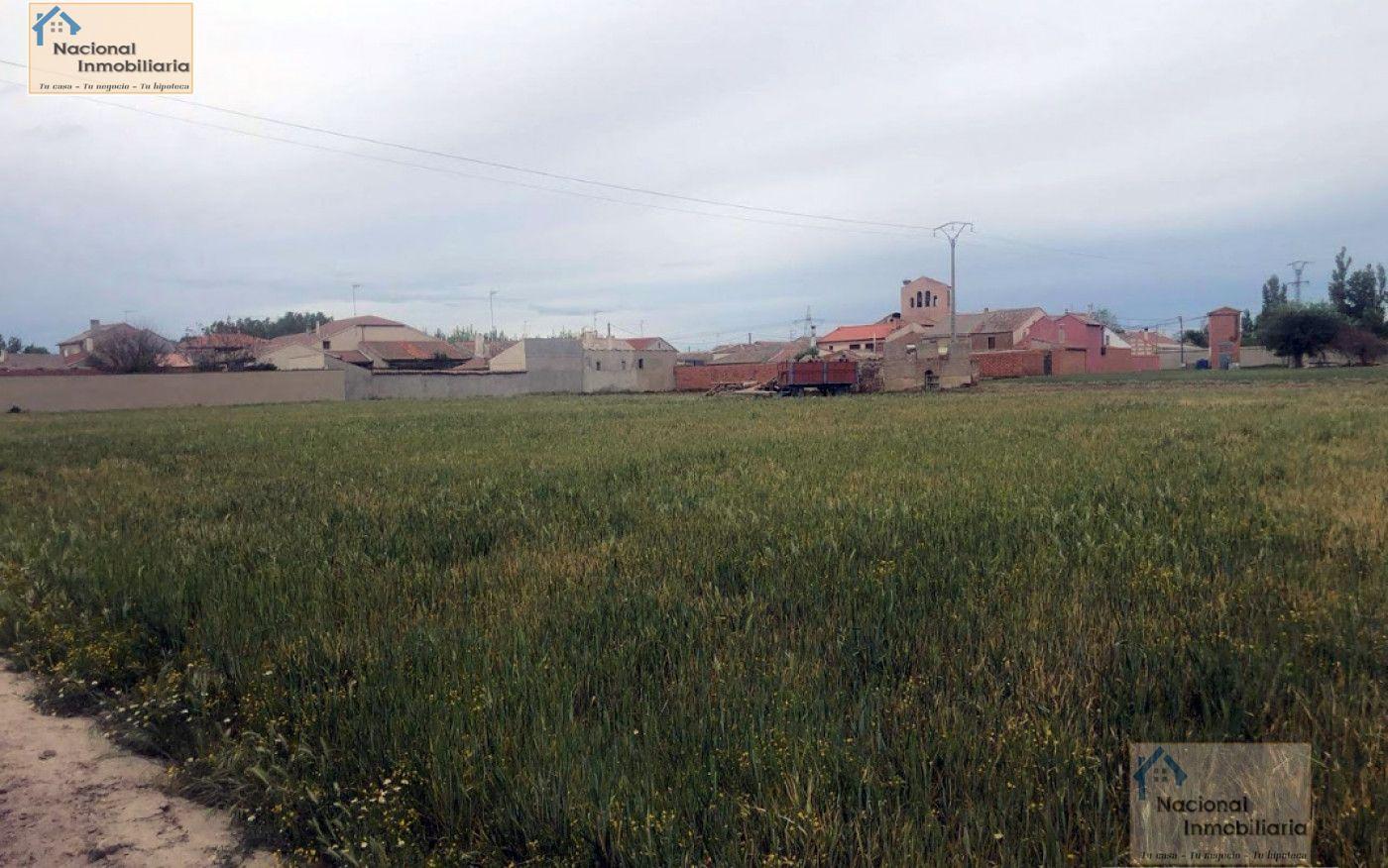 For sale of land in Orbita