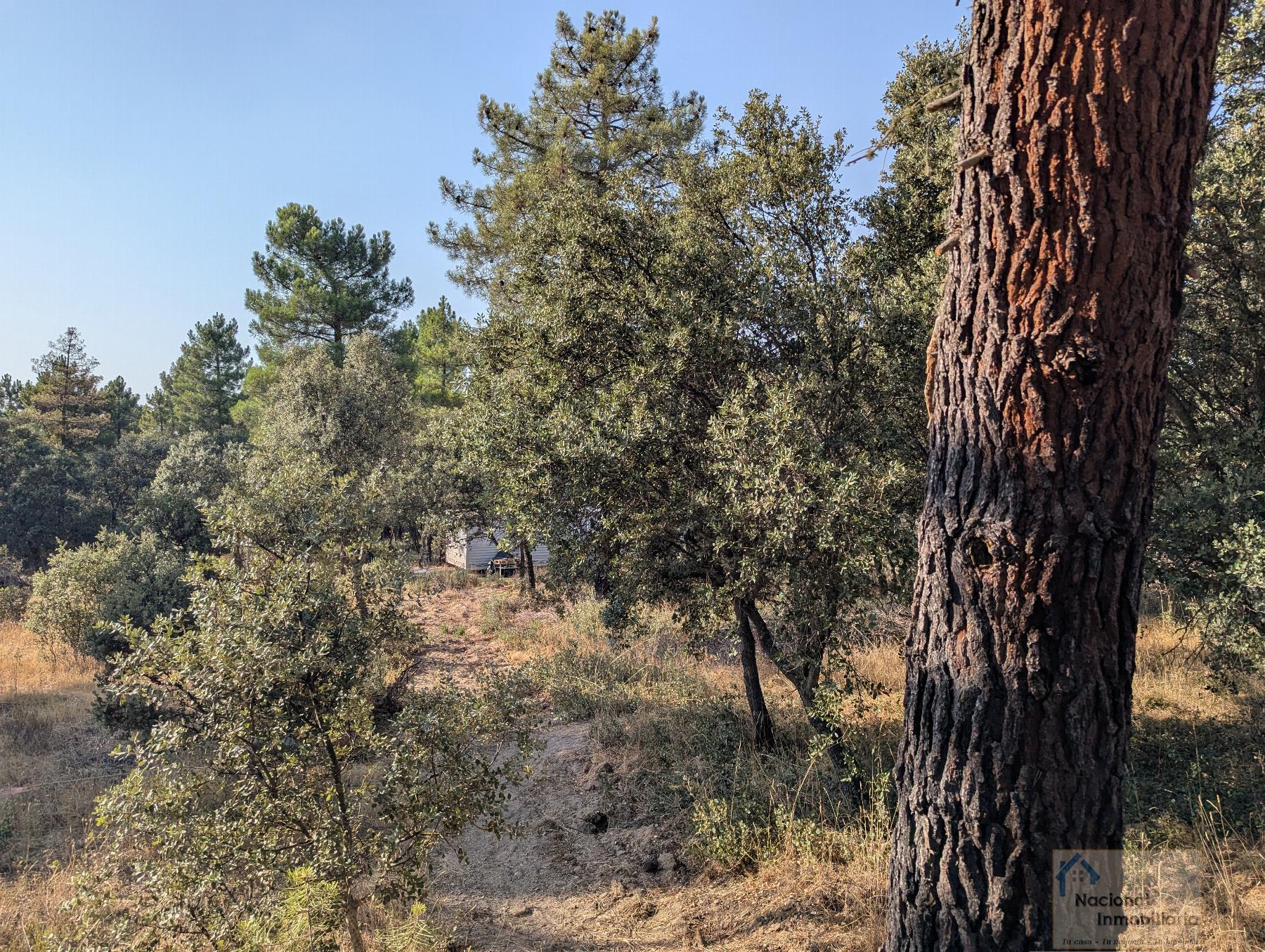 Venta de casa en Marugán