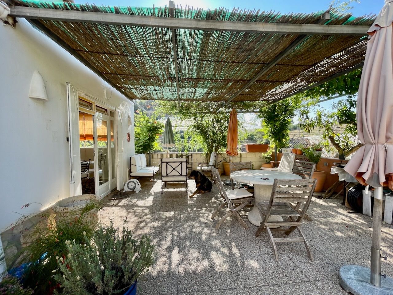 Venta de finca rústica en Altea