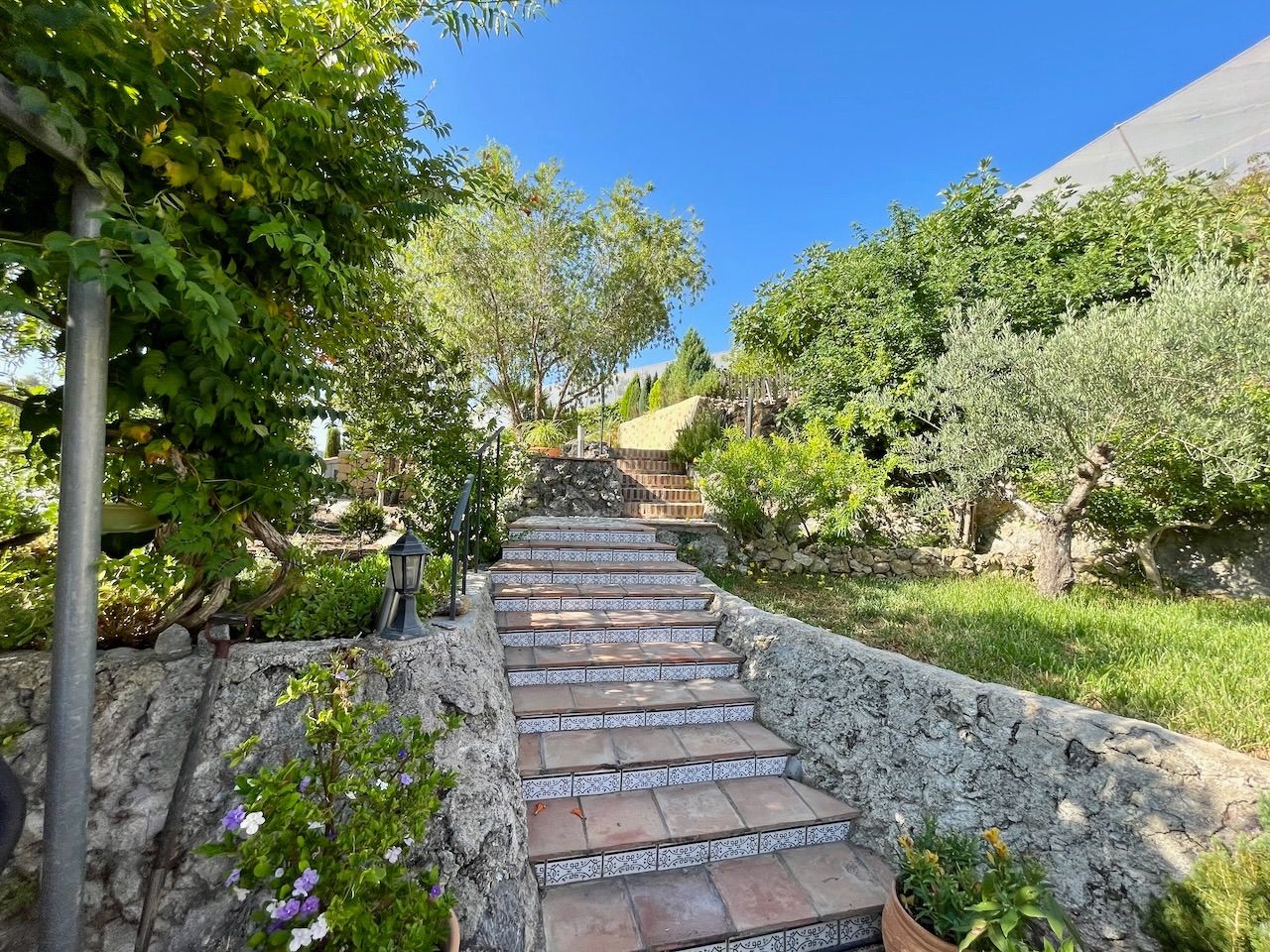 Venta de finca rústica en Altea