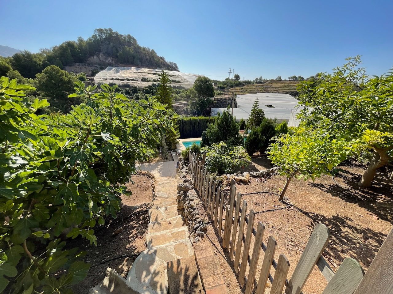Venta de finca rústica en Altea
