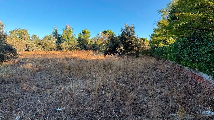 Terreno
