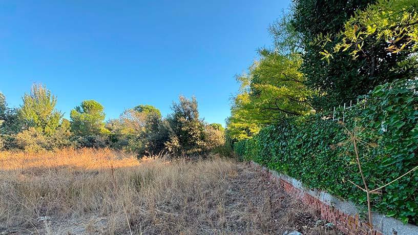 Terreno