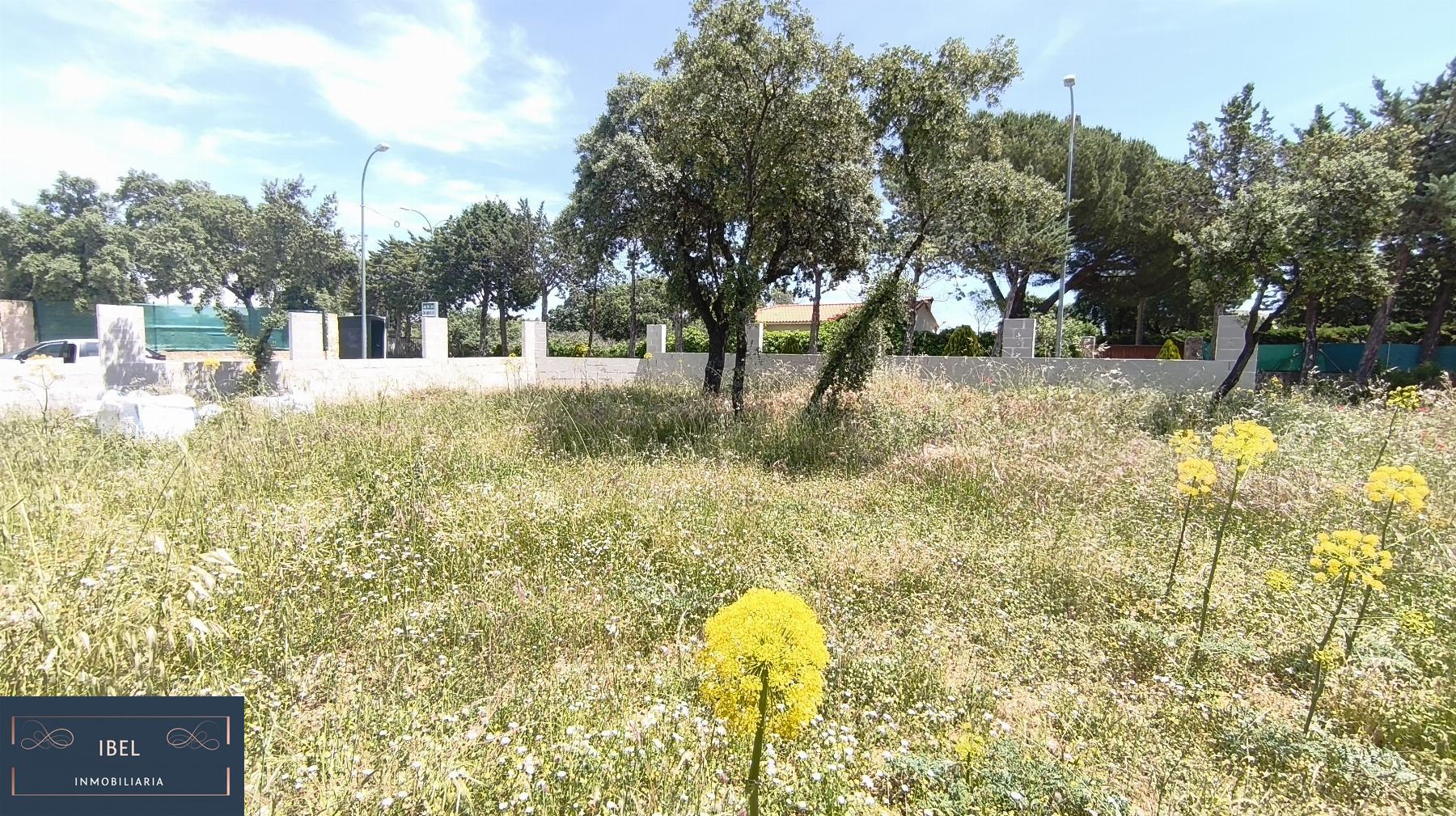 Terreno