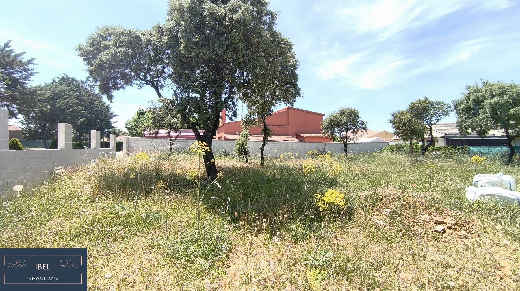 Terreno