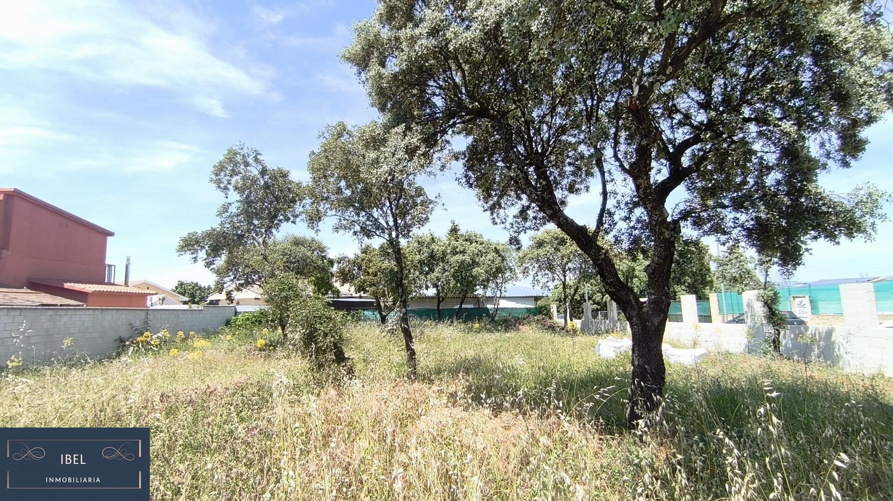 Terreno