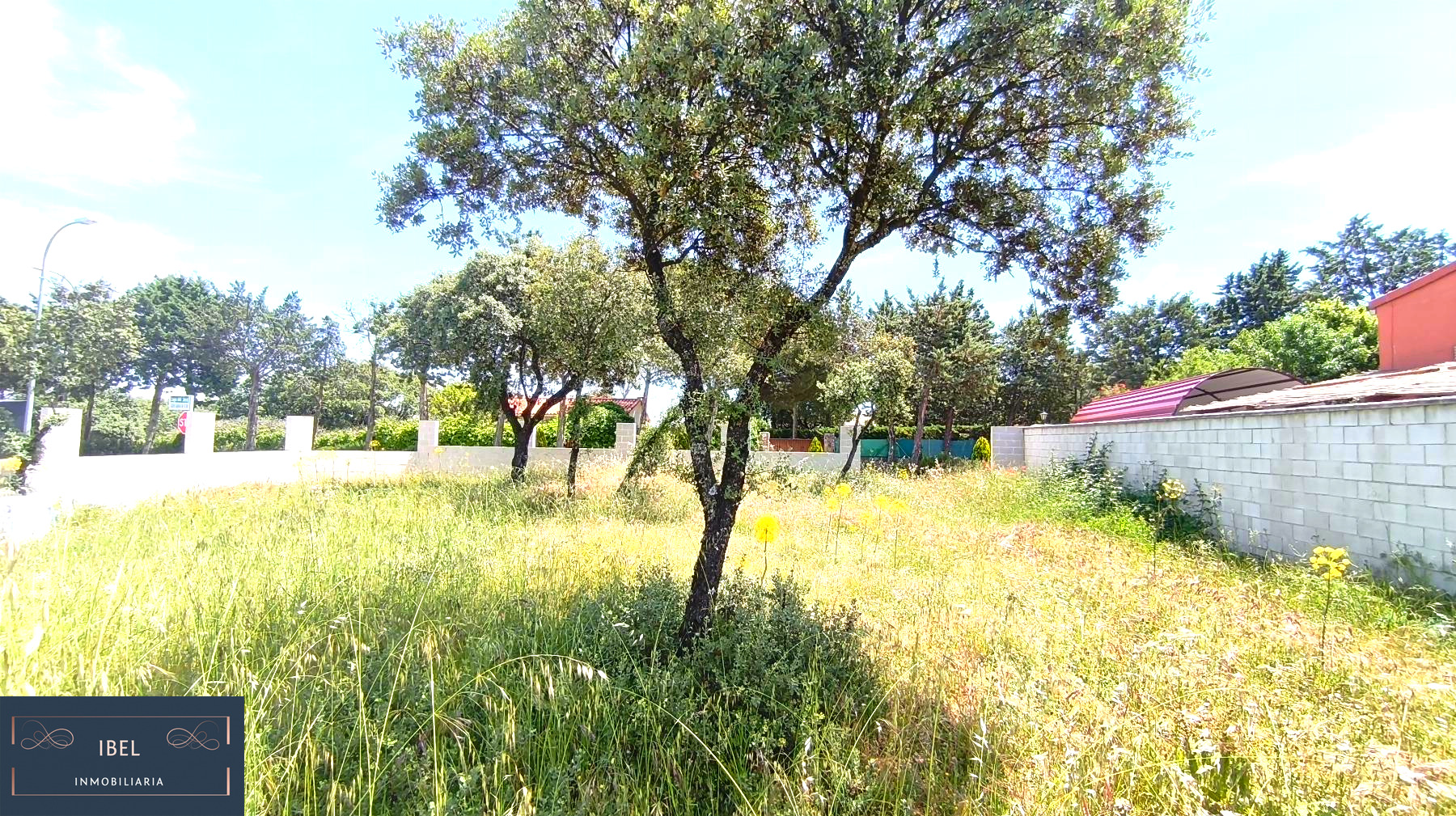 Terreno