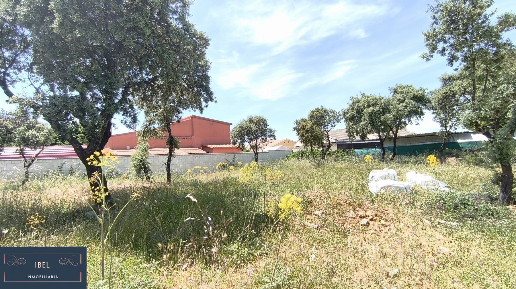 Terreno