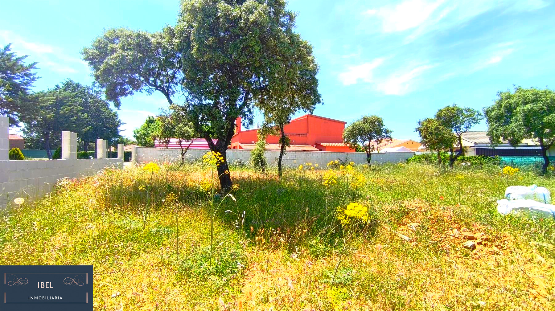 Terreno