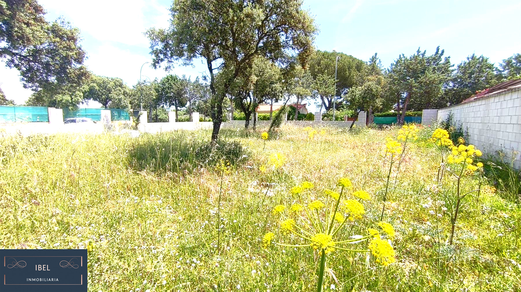 Terreno