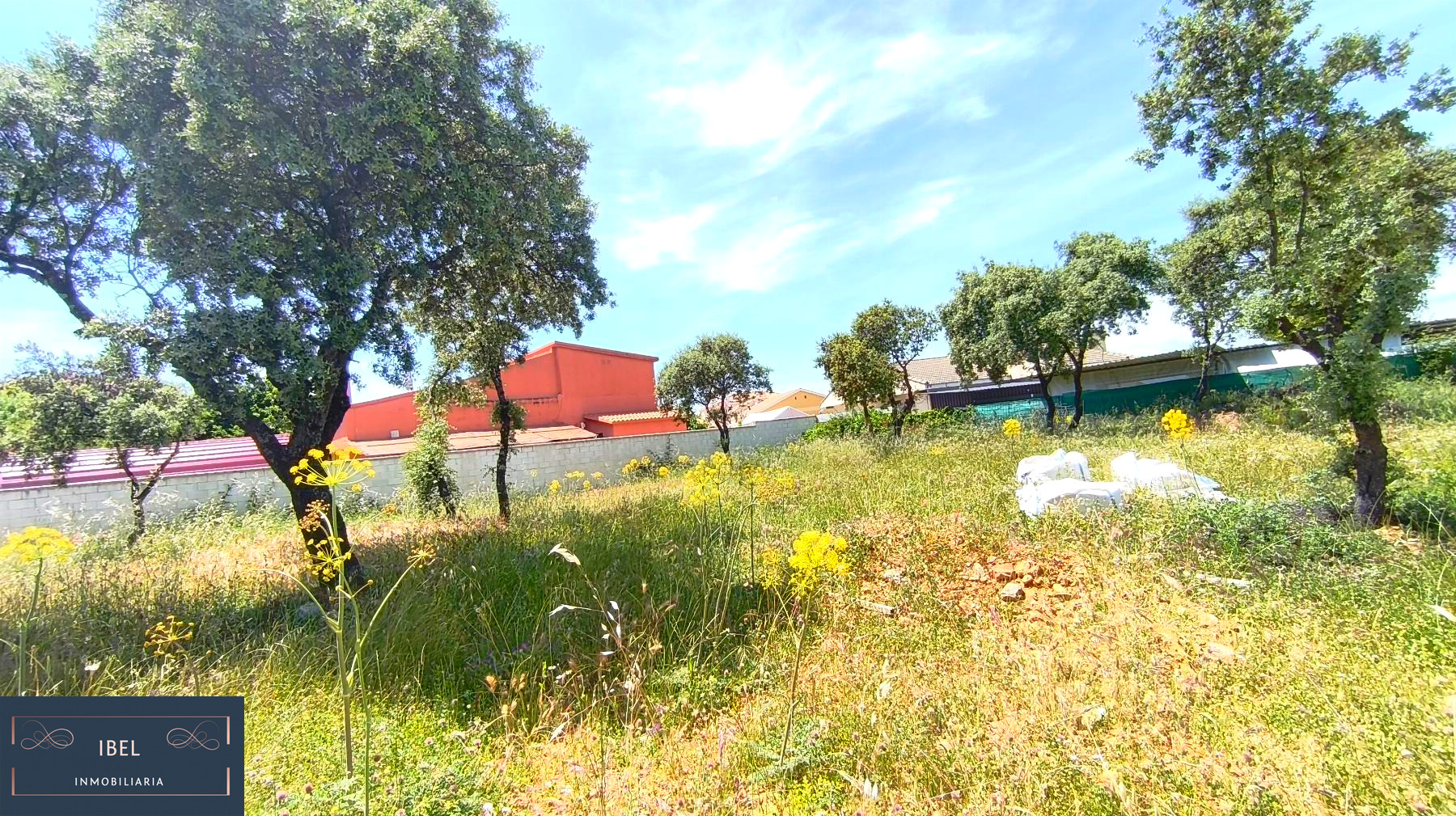 Terreno
