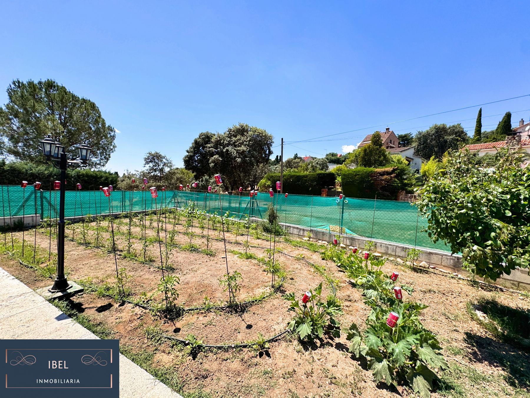 Jardín