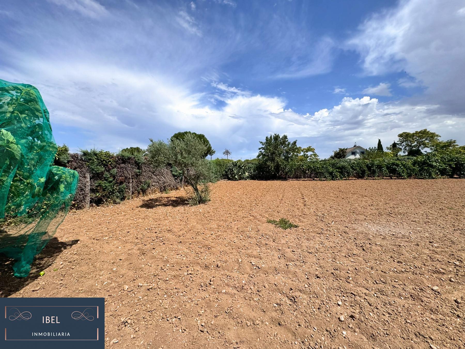 Terreno