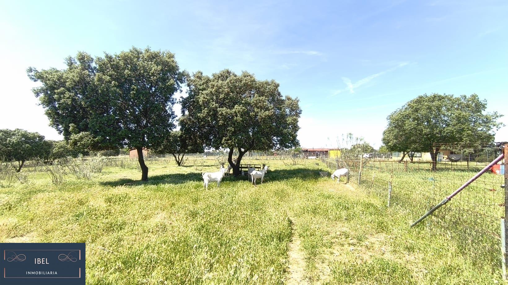 Terreno