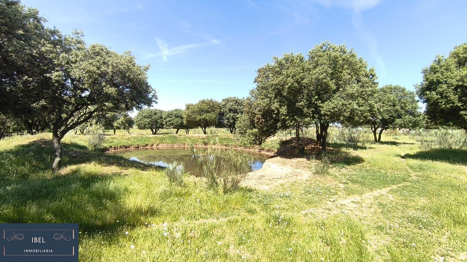 Terreno