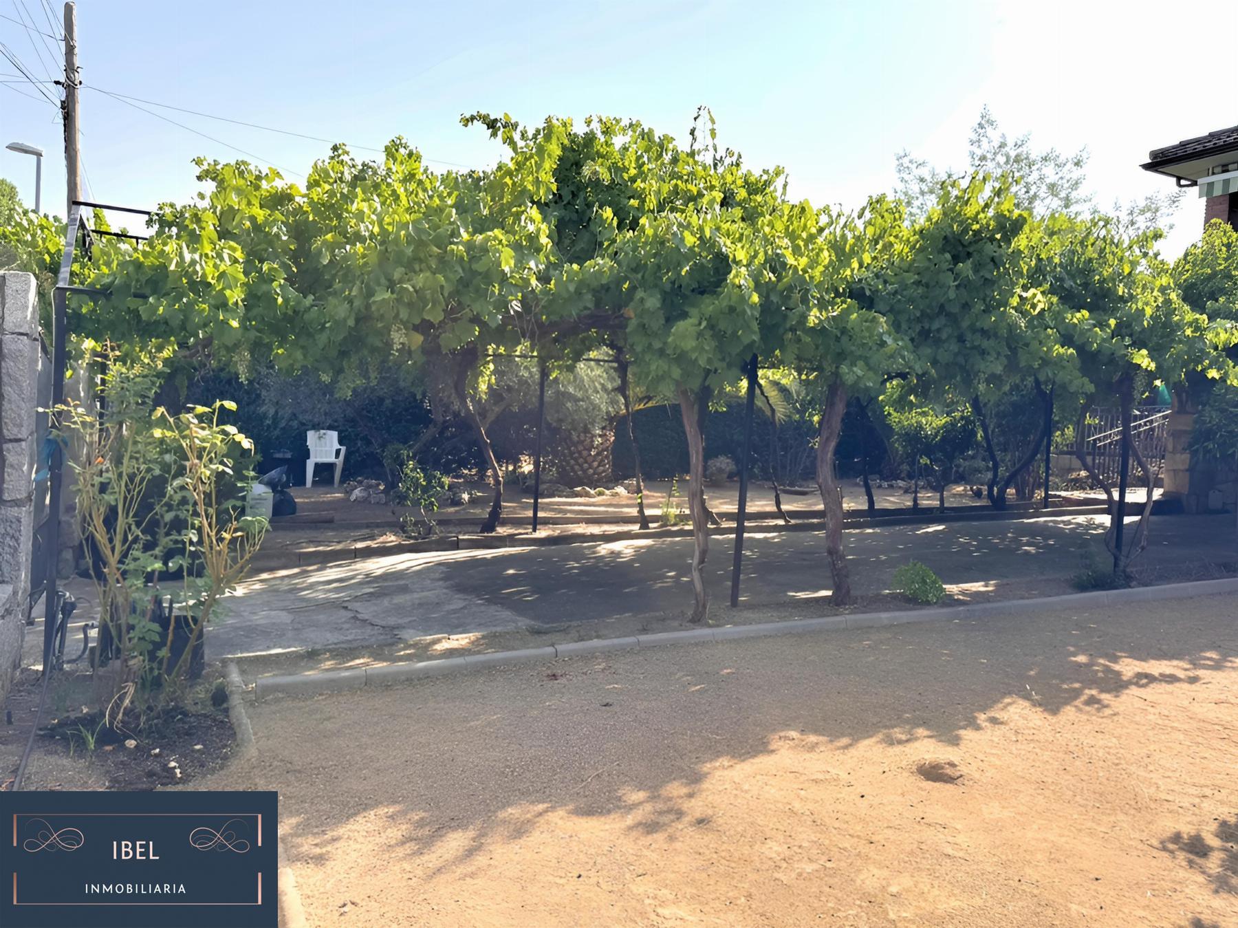 Terreno