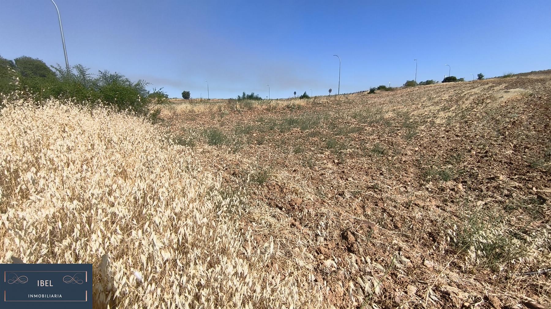 Terreno