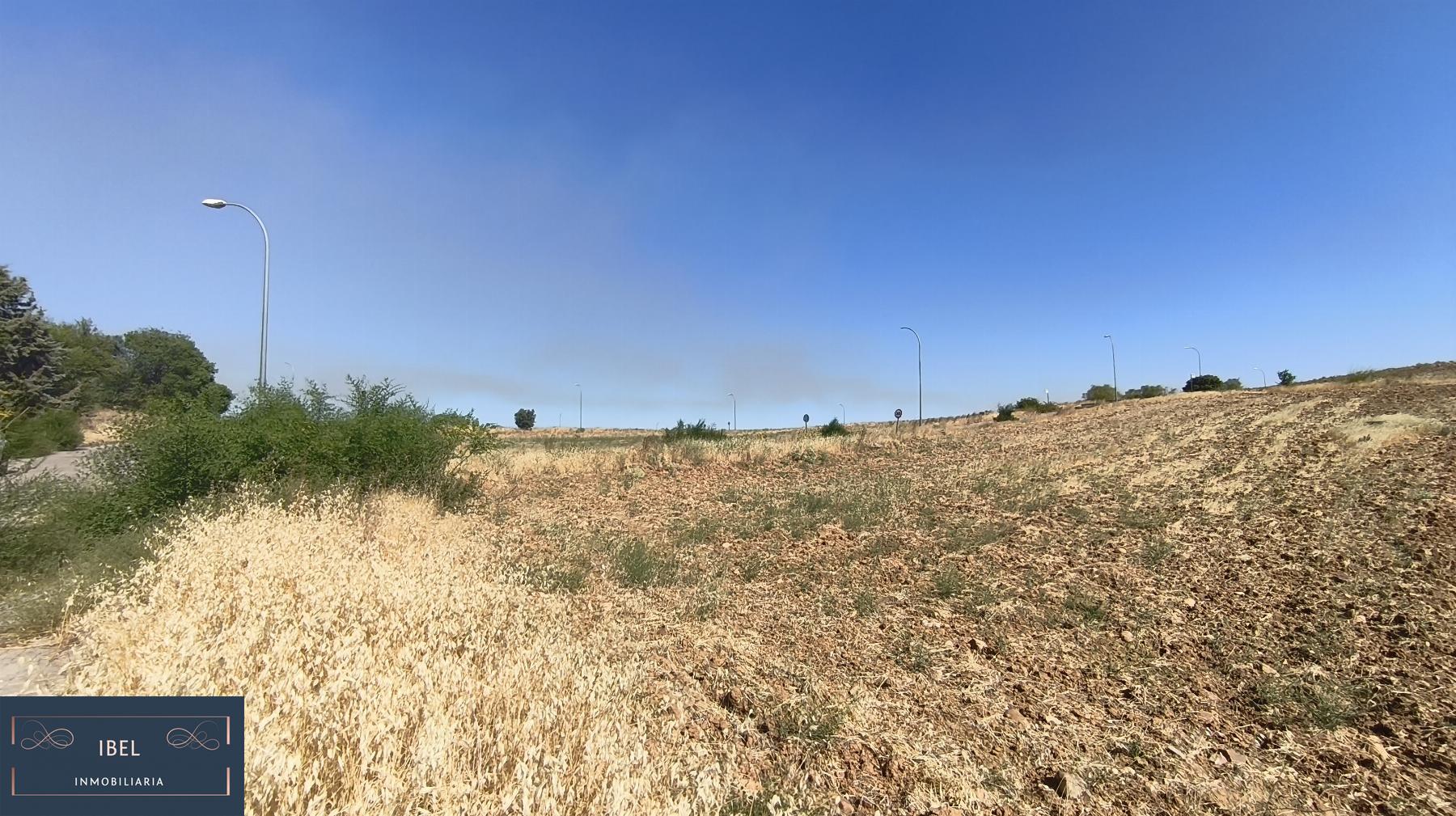 Terreno