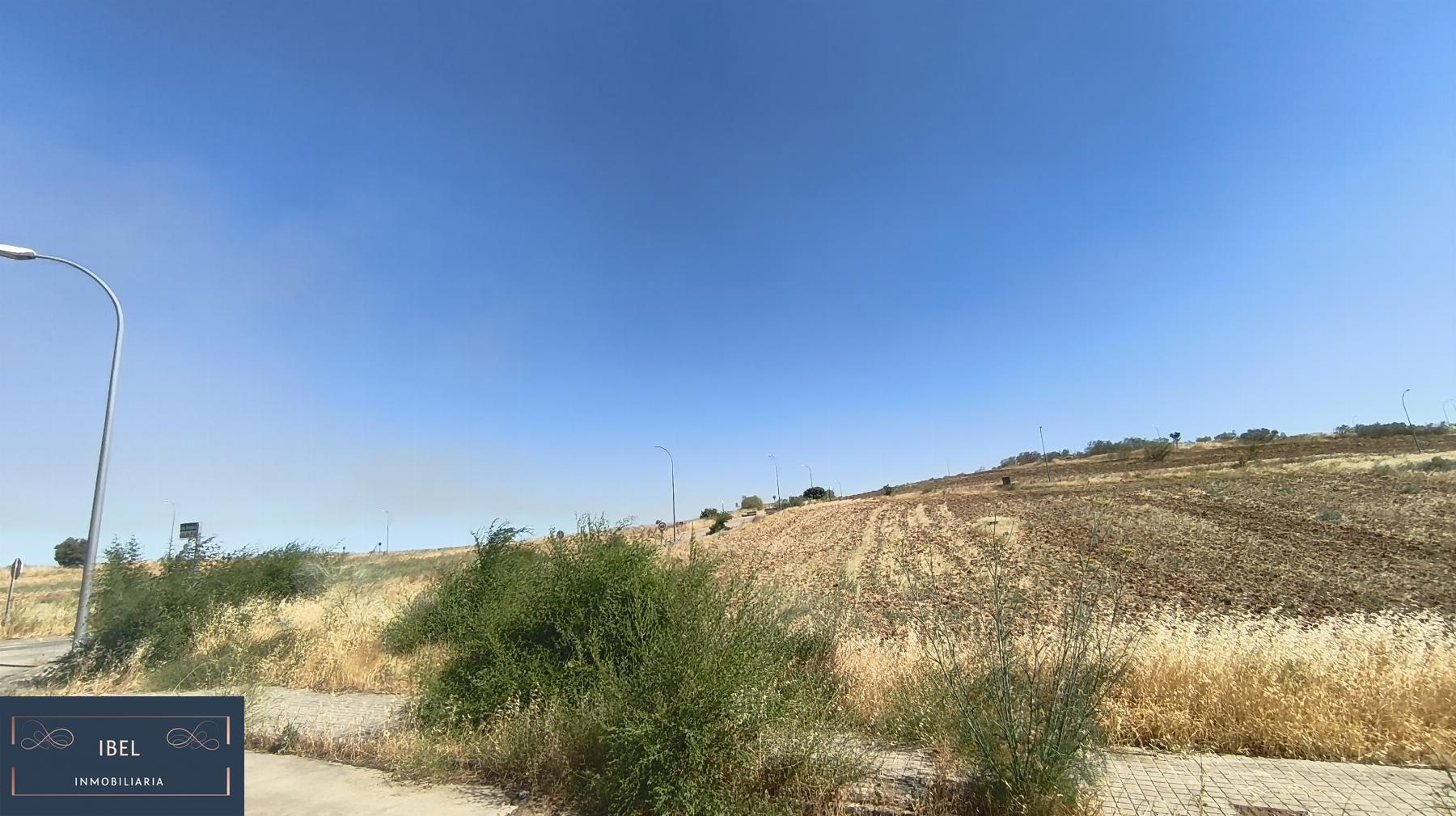 Terreno