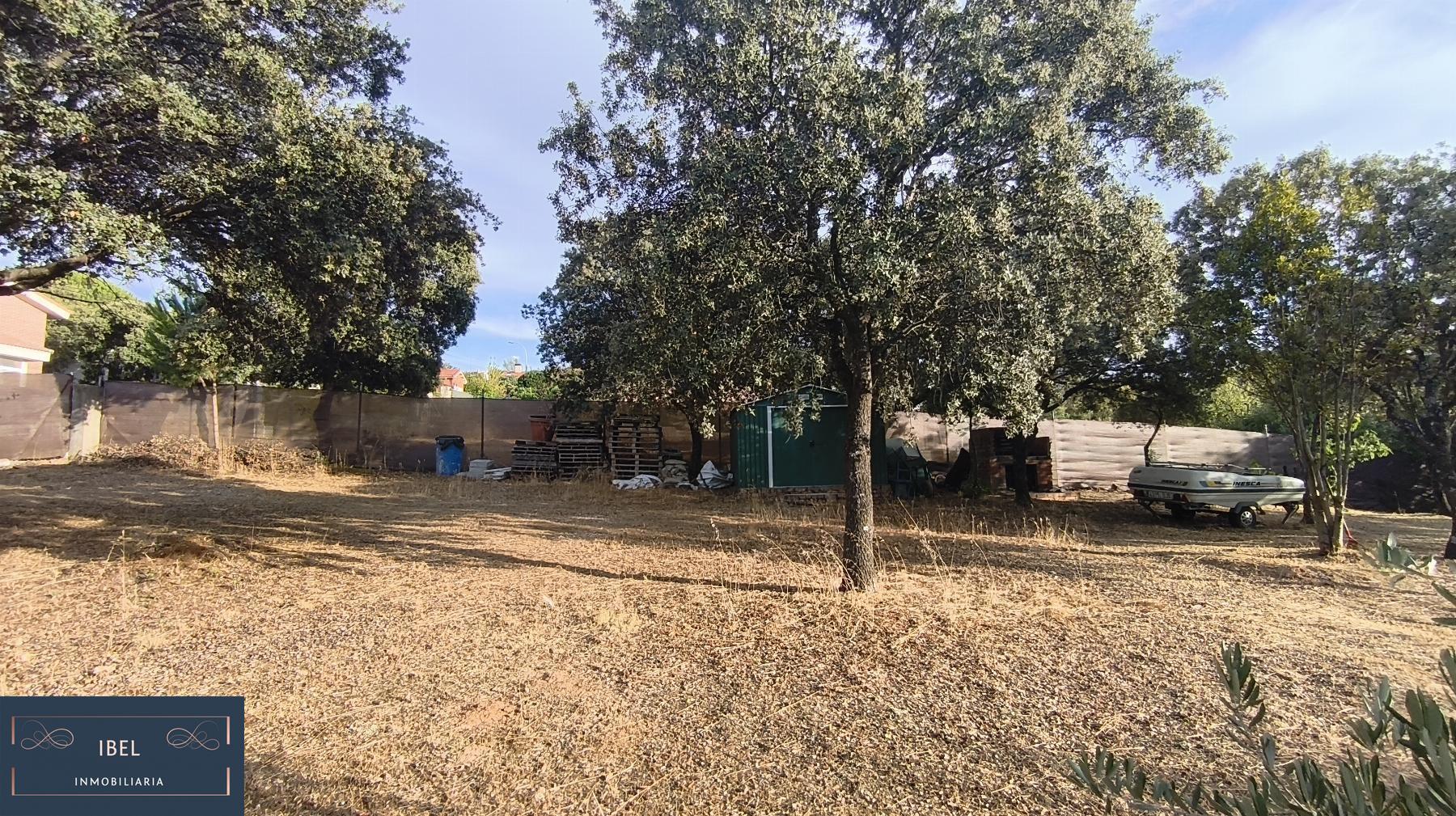 Terreno