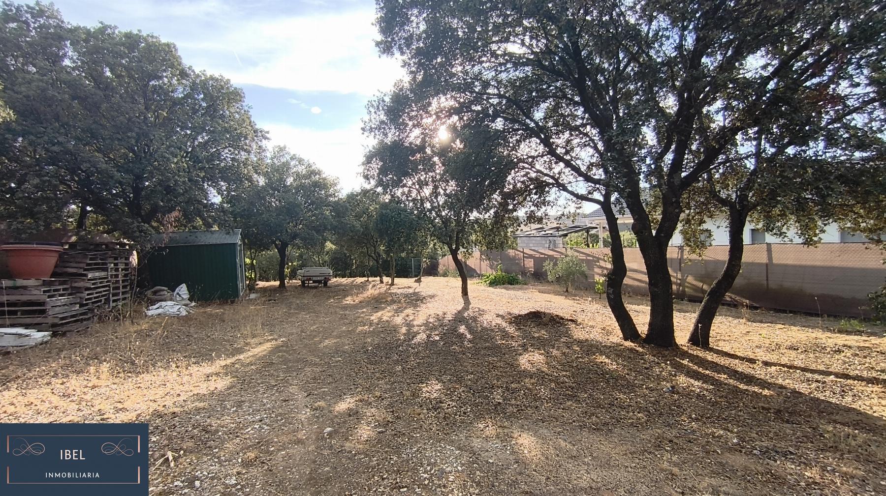 Terreno