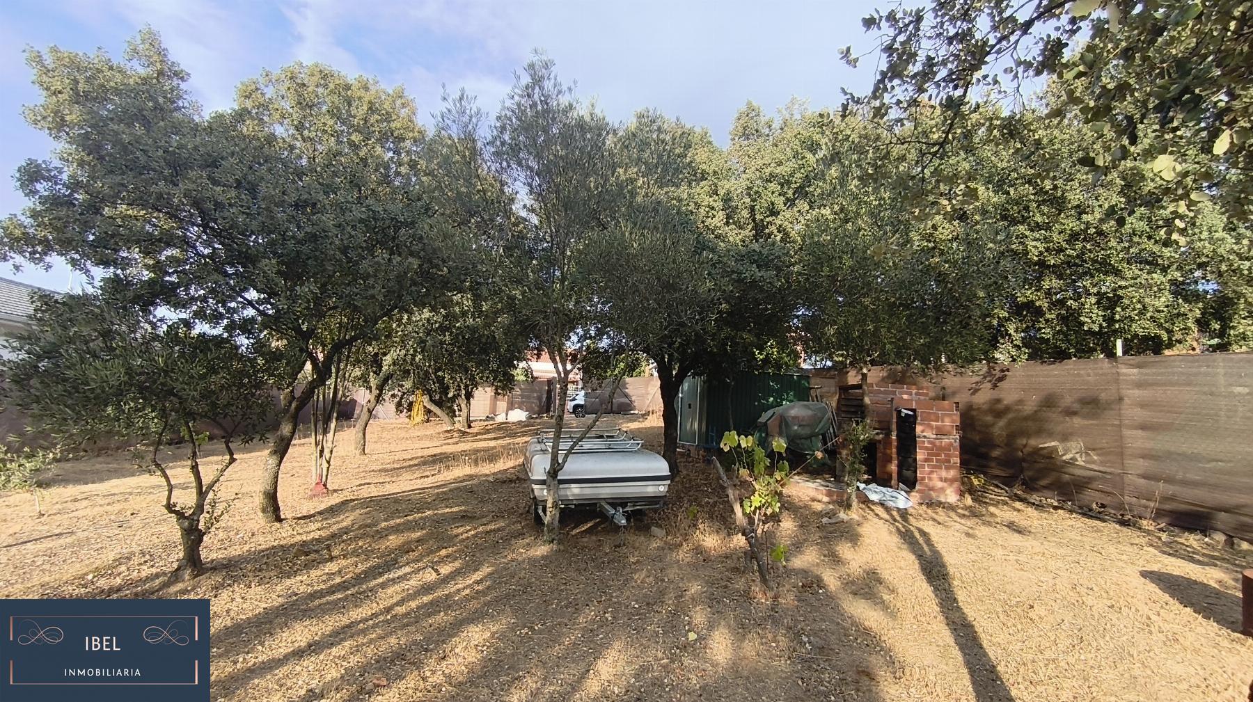 Terreno