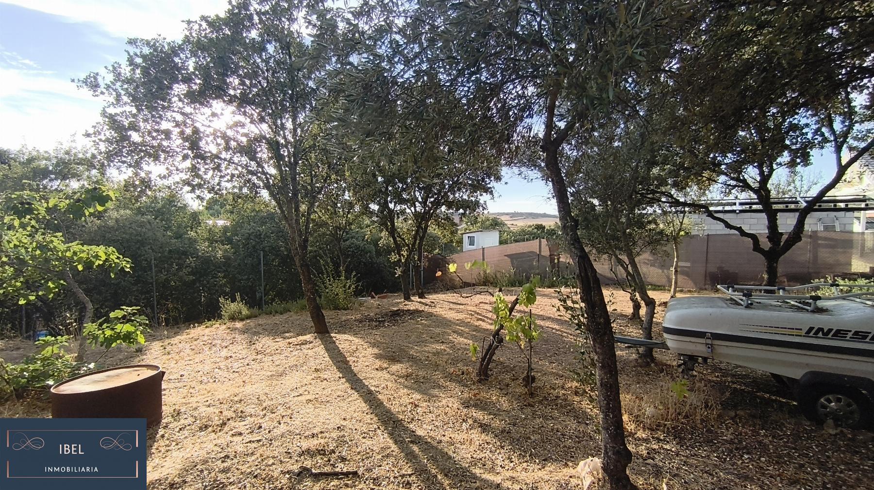 Terreno