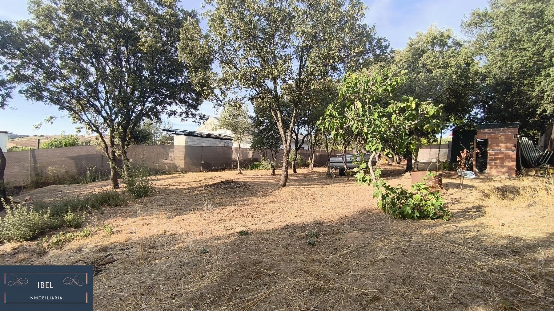 Terreno