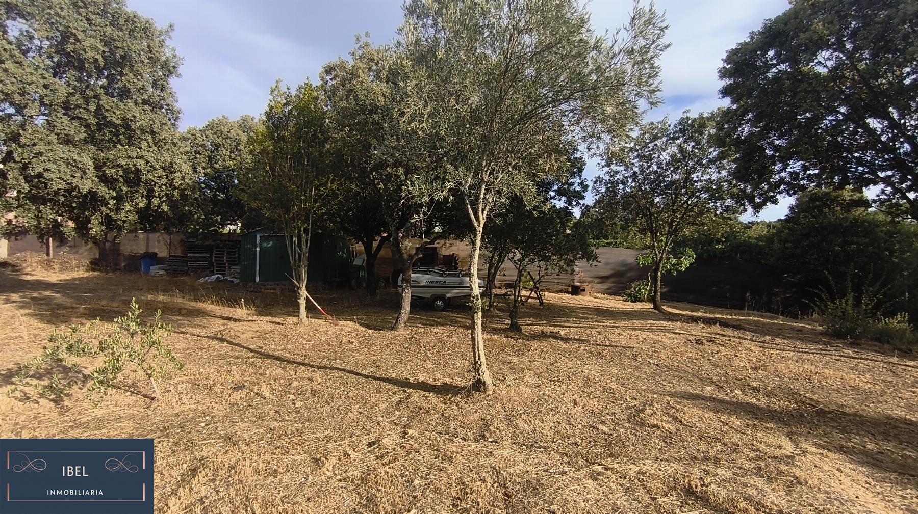 Terreno