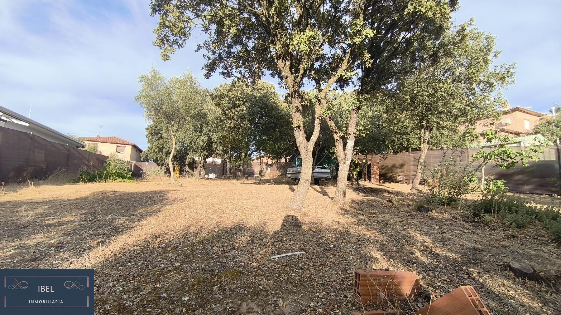 Terreno