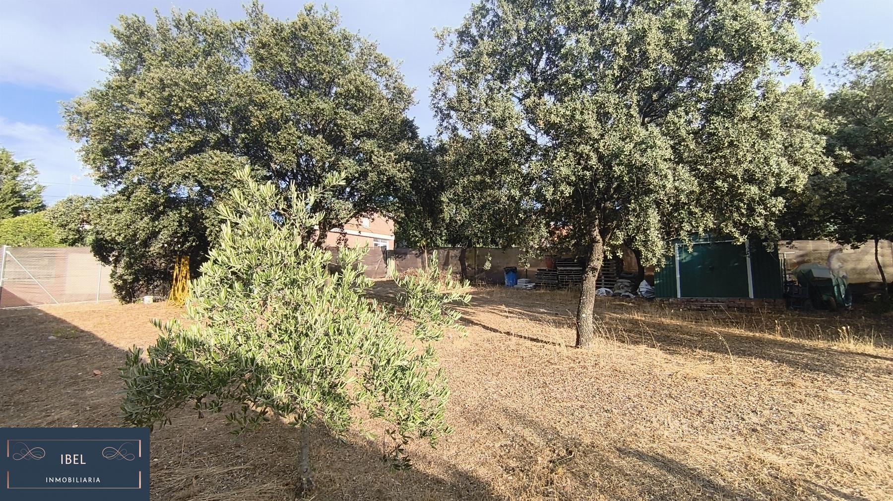 Terreno