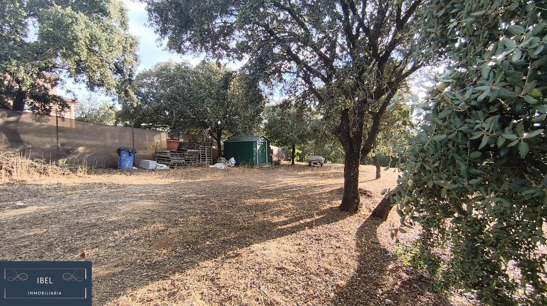 Terreno