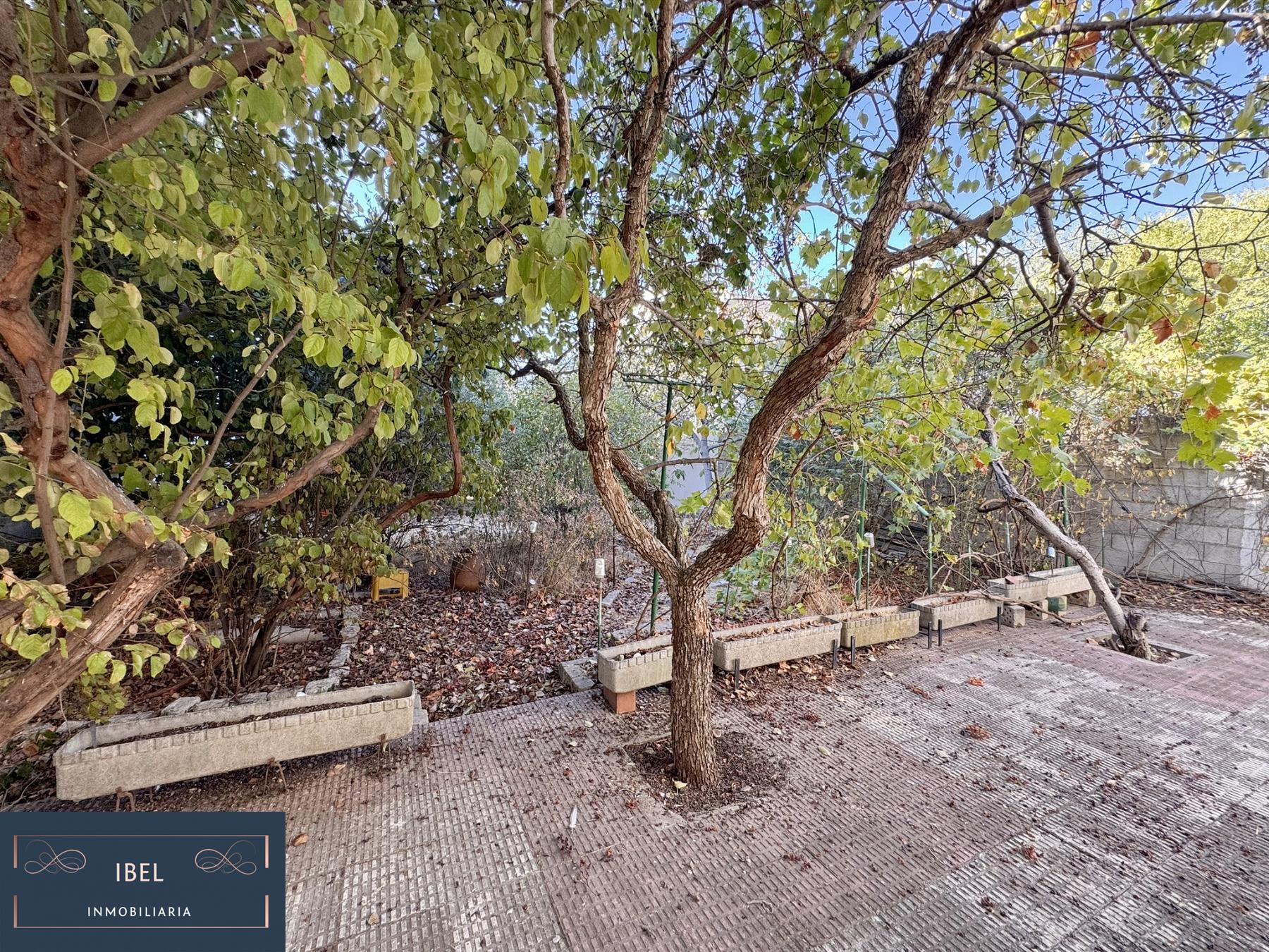 Jardín
