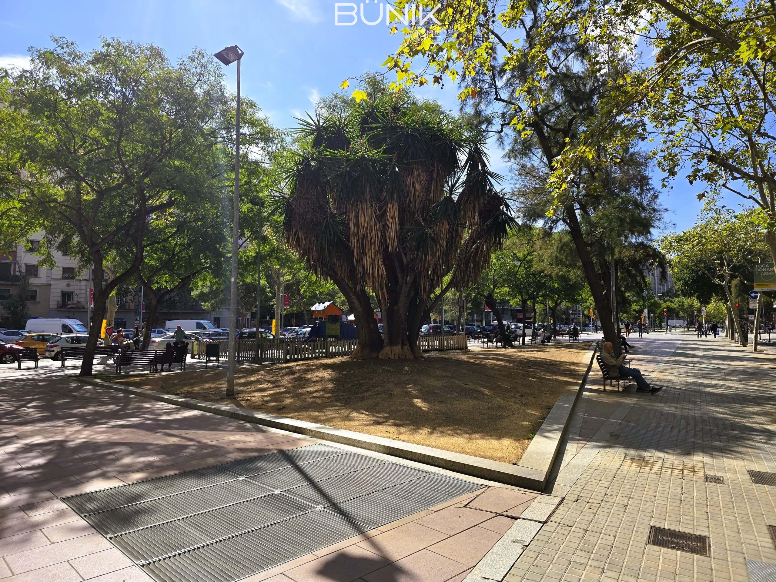 Alquilar de piso en Barcelona