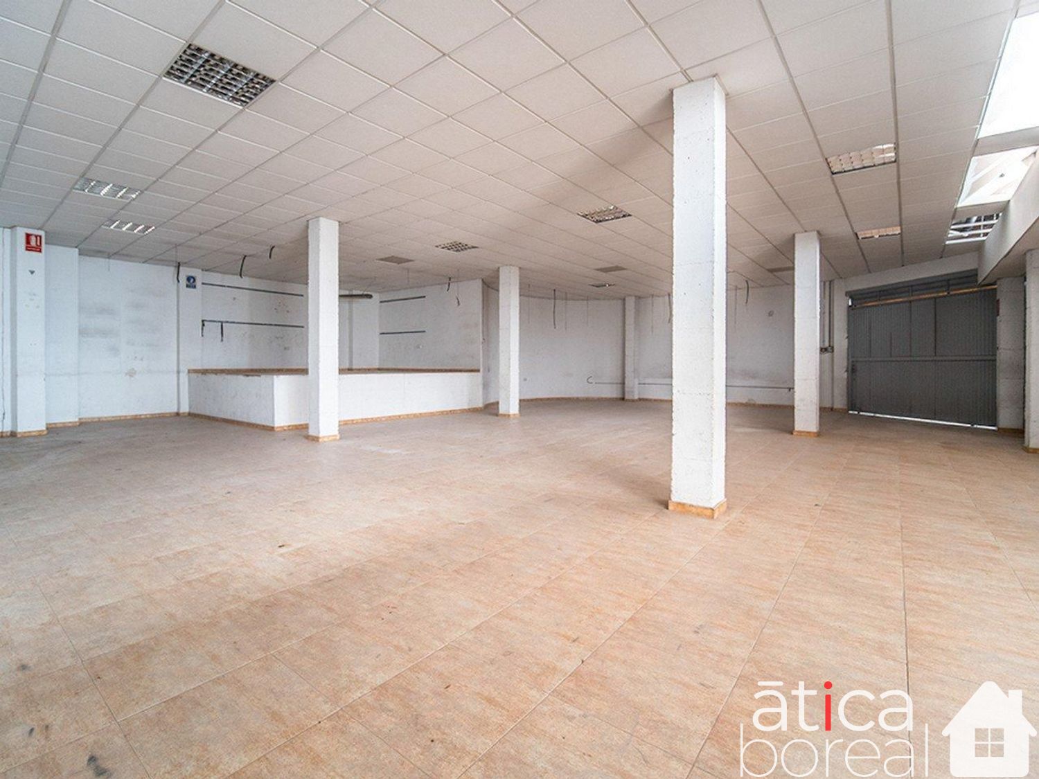 Venta de local en Molina de Segura