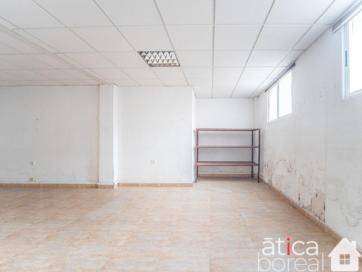 Venta de local en Molina de Segura