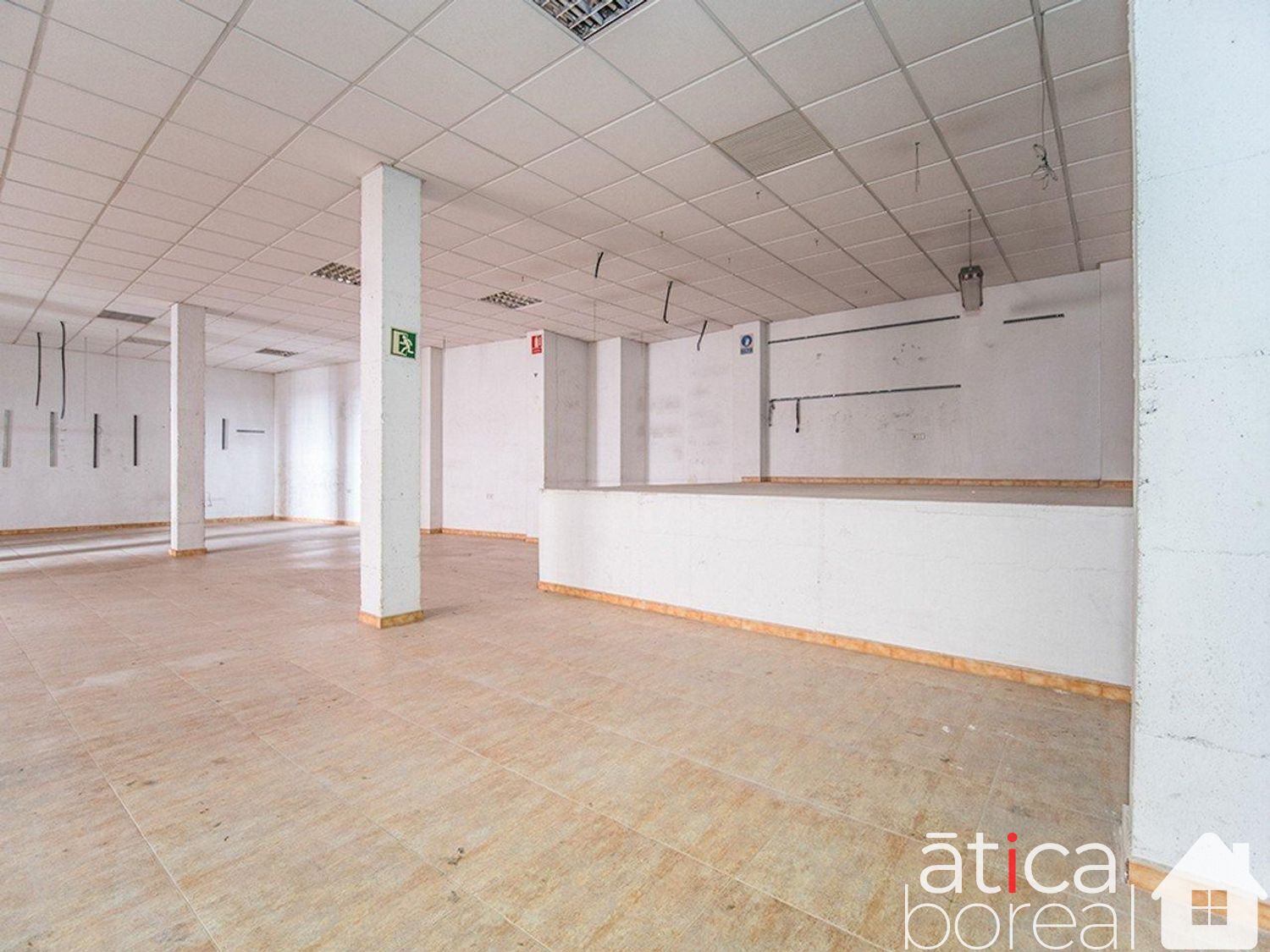 Venta de local en Molina de Segura